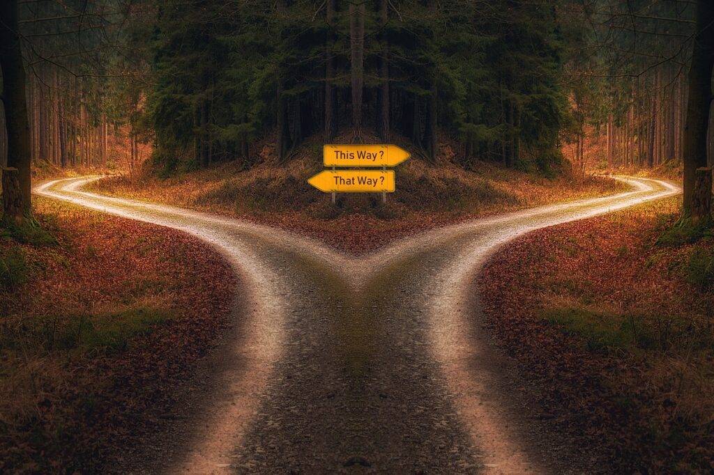 A forked road in a forest with signs pointing in two directions, symbolizing the choice between edX and Coursera in an online learning comparison