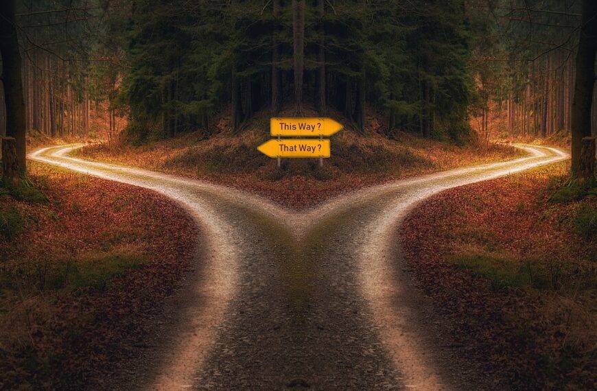 A forked road in a forest with signs pointing in two directions, symbolizing the choice between edX and Coursera in an online learning comparison